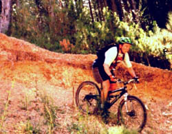 lien vers parc de location